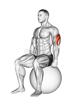 Thumbnail for the video of exercise: Stretching dei tricipiti seduti con palla per esercizi
