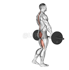 Barbell Single Leg Deadlift