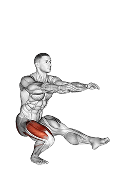 Single Leg Squat  demonstration