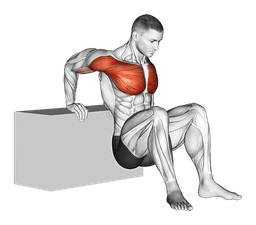 Reverse Chest Stretch