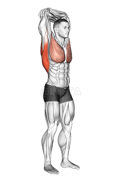 Standing reach up back rotation stretch demonstration