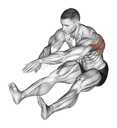 Sitting Bent Over Back Stretch demonstration