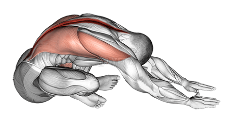 Sitting Crossed Legged Reach Forward Stretch demonstration
