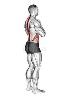Standing Back Rotation Stretch demonstration