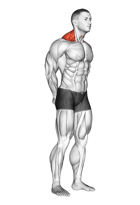 Neck Protraction Stretch demonstration