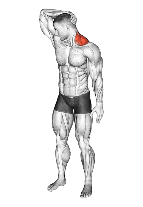 Neck Extensor And Rotational Stretch demonstration