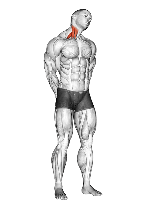 Extension And Inclination Neck Stretch demonstration