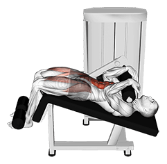 Thumbnail for the video of exercise: Spak Decline Sit-up