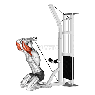 Kneeling Triceps Extension demonstration