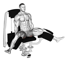 Lever Seated Hip Adduction
