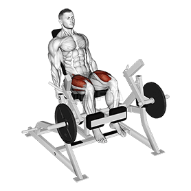 Lever Leg Extension demonstration