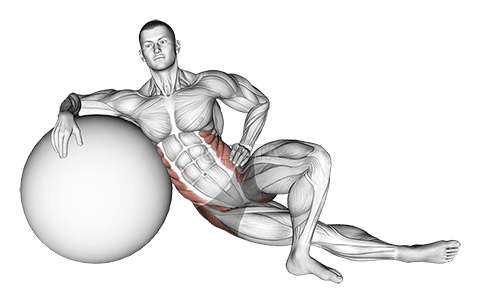 Thumbnail for the video of exercise: Exercise Ball Lying Abductor Stretch