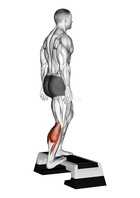 Thumbnail for the video of exercise: Single Heel Drop Achilles Stretch