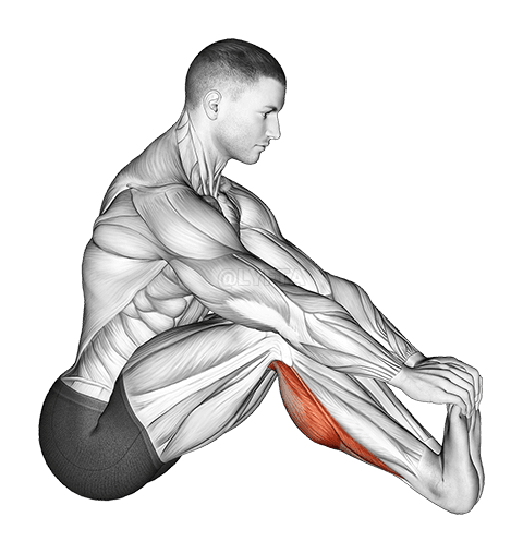 Thumbnail for the video of exercise: Stretching del tendine d'Achille da seduto