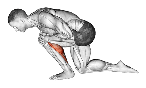 Thumbnail for the video of exercise: Kniende Ferse nach unten Achilles-Dehnung