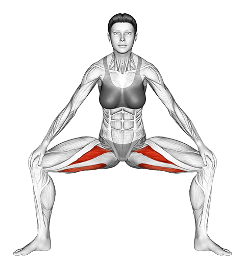 Standing Wide Knees Adductor Stretch demonstration