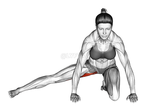 Ƙafafun durƙusa Fitar da Ƙafar Adductor demonstration