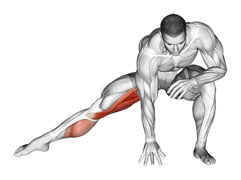 Standing Bent Knee Hip Adductor Stretch demonstration
