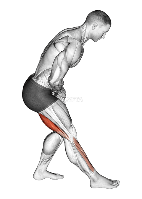 Standing Toe Down Hamstring Stretch demonstration