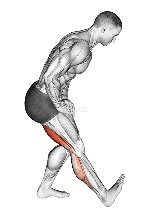 Standing Toe Up Hamstring Stretch demonstration