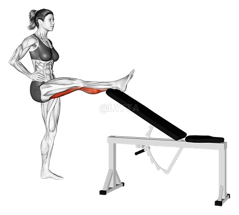 Standing Leg Up Hamstring Stretch demonstration