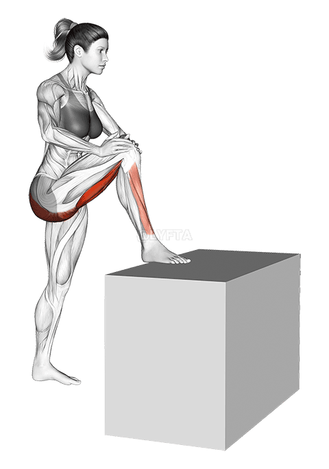 Standing High Leg Bent Knee Hamstring Stretch demonstration