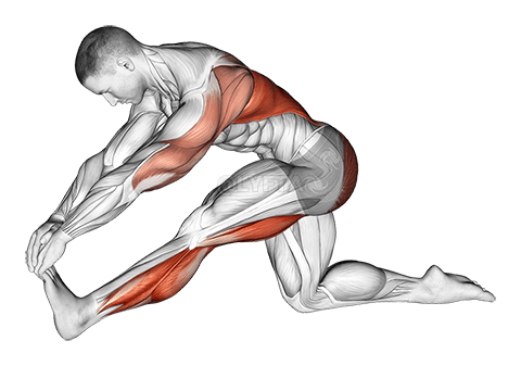 Kneeling Toe Up Hamstring Stretch demonstration