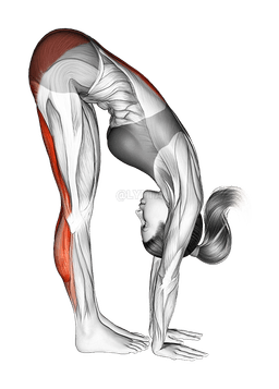 Standing Reach Down Hamstring Stretch