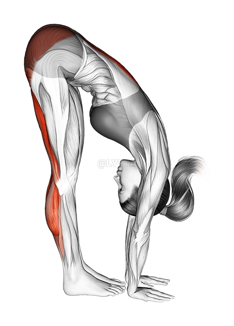 Standing Reach Down Hamstring Stretch demonstration