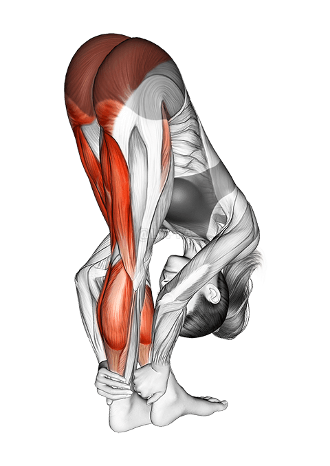 Standing Reach Down Hamstring Crossed Legs Stretch demonstration