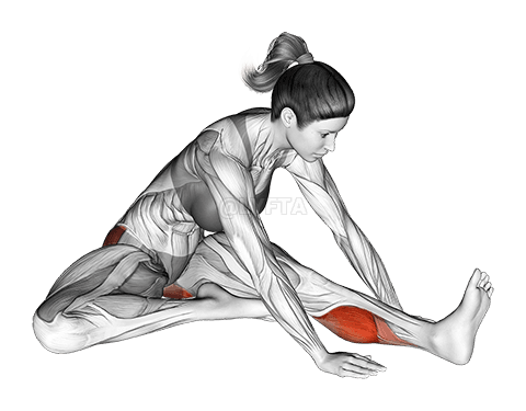 Seated Hip External Rotator And Hip Extensor Stretch demonstration