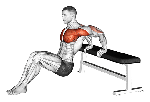 Sitting Shoulders Stretch On Bench demonstration
