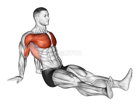 Seated Shoulder Flexor Depresor Retractor Stretch demonstration