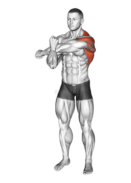 Across Chest Shoulder Stretch