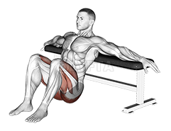 Image of Hip Thrusts