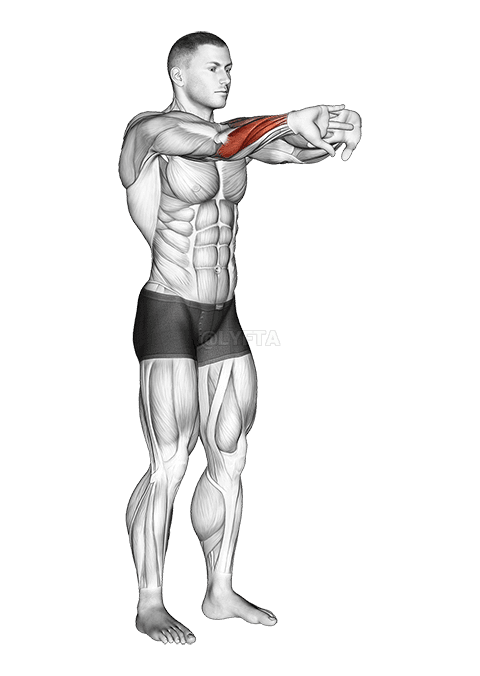 Thumbnail for the video of exercise: Palms Out Underarm Stretch