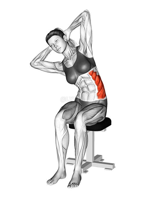 Seated Lower Trunk Lateral Flexor Stretch demonstration