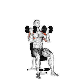 Dumbbell Arnold Press demonstration