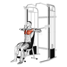 Cable Seated Chest Press