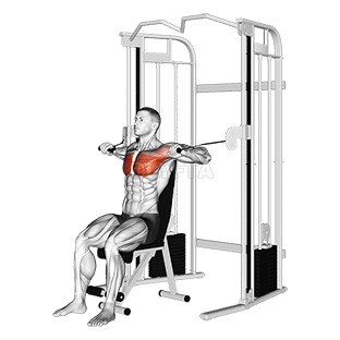 Cable Seated Chest Press demonstration