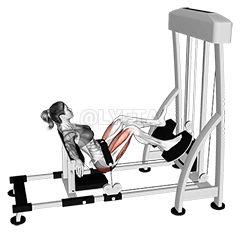 Lever Single Leg Hip Thrust demonstration