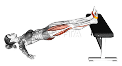 Thumbnail for the video of exercise: Resistance Band Supine Hip Bridge March