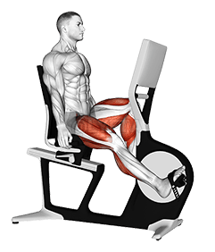 Bicycle Recline Walk demonstration