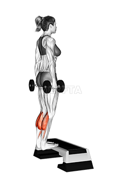 Dumbbell Standing Calf Raise demonstration