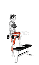 Dumbbell Step Up demonstration