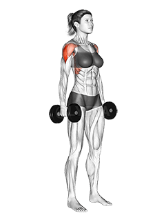 الدمبل الوقوف الجانبي رفع demonstration