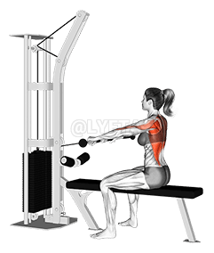Cable Seated Row demonstration