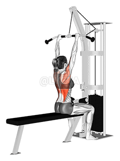 Cable Bar Lateral Pulldown demonstration