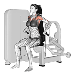 Lever Seated Dip demonstration