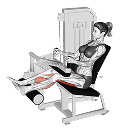 Lever Seated Leg Curl demonstration